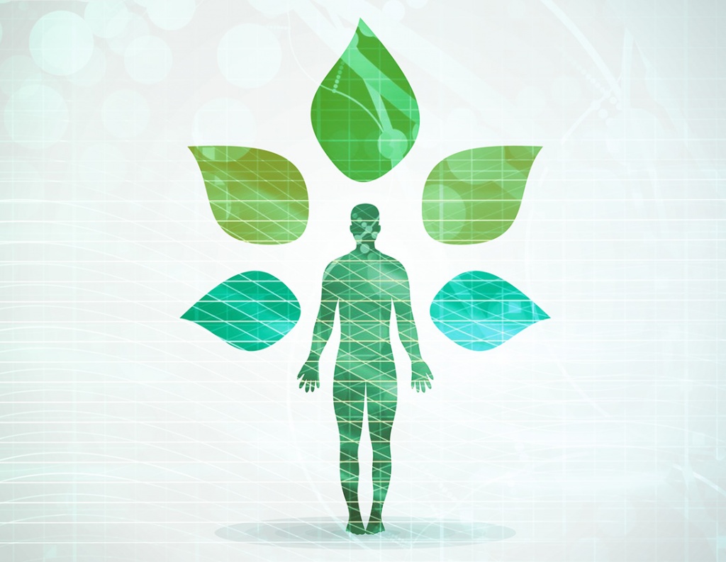 be_hive_integrative_bioregulatory_medicine_ibm2.jpg